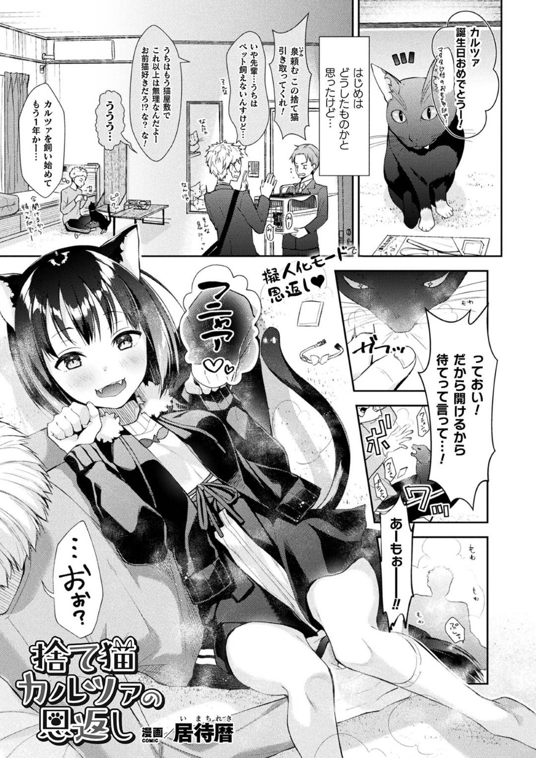 猫 擬人 化 エロ